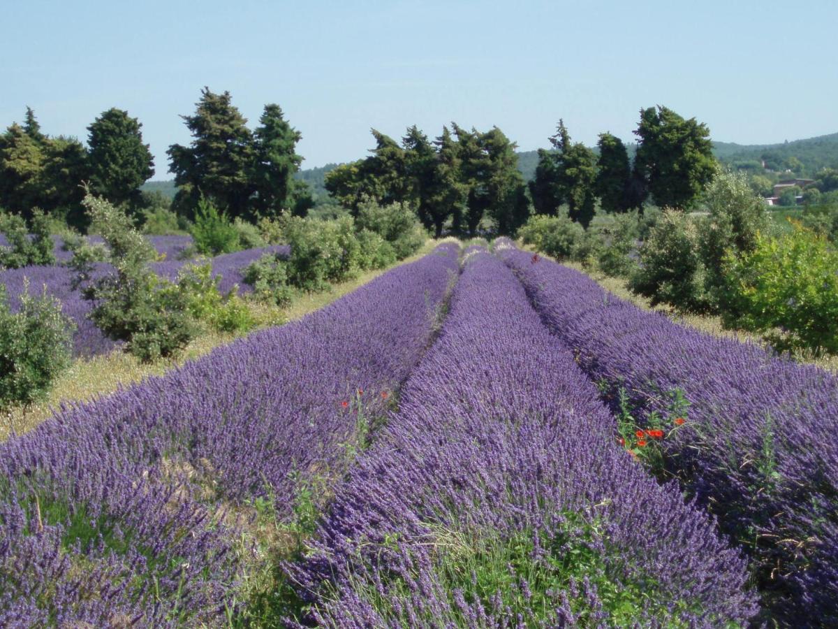 Clos Des 3 Ruisseaux Taulignan Esterno foto